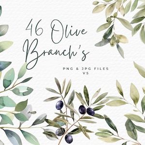 Clipart de rama de olivo en acuarela, clipart de invitación de boda con vegetación botánica, descarga digital para uso comercial, arte de diario basura para álbumes de recortes