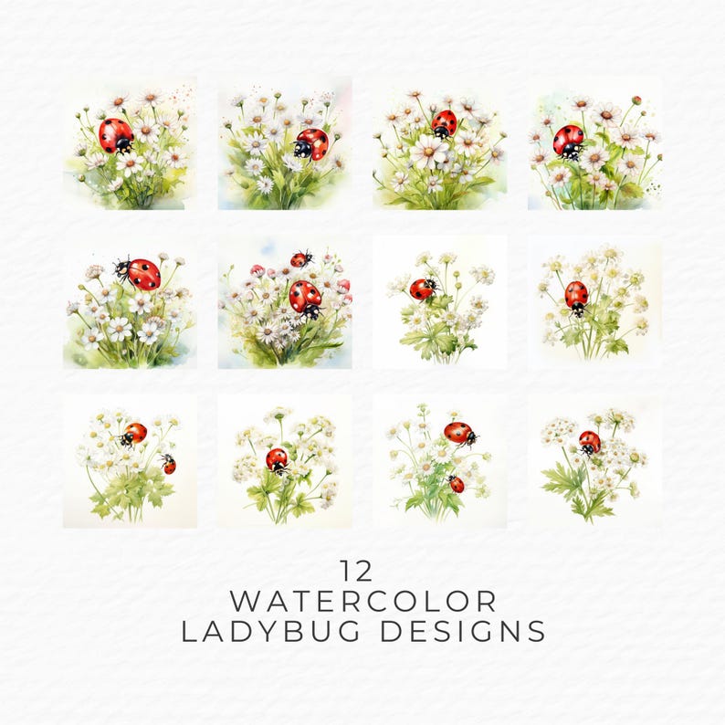 Watercolor Ladybug Clipart: Spring Insect Art (digital Download) - Etsy