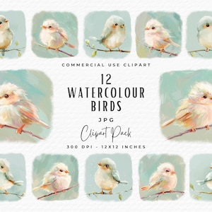 Watercolor Birds Clipart Bundle | 12 Watercolor Fluffy Bird Illustration | Baby Shower Pastel Birds Clip Art PNG JPG | Digital Download