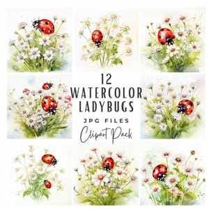 Clipart coccinelle, aquarelle coccinelle coccinelle insecte clipart, téléchargement numérique pour usage commercial, clipart bug mignon printemps, Junk Journal JPG