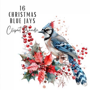 Bundle de cliparts Noël geai bleu, aquarelle hiver oiseau sublimation des cliparts, utilisation commerciale en téléchargement numérique, décoration de Noël Junk Journal
