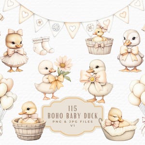 Boho Baby Dusche Ente Clipart, niedlich wunderliche rustikale Aquarell kokett neue Baby Entlein Clipart, digitaler Download kommerzielle Nutzung
