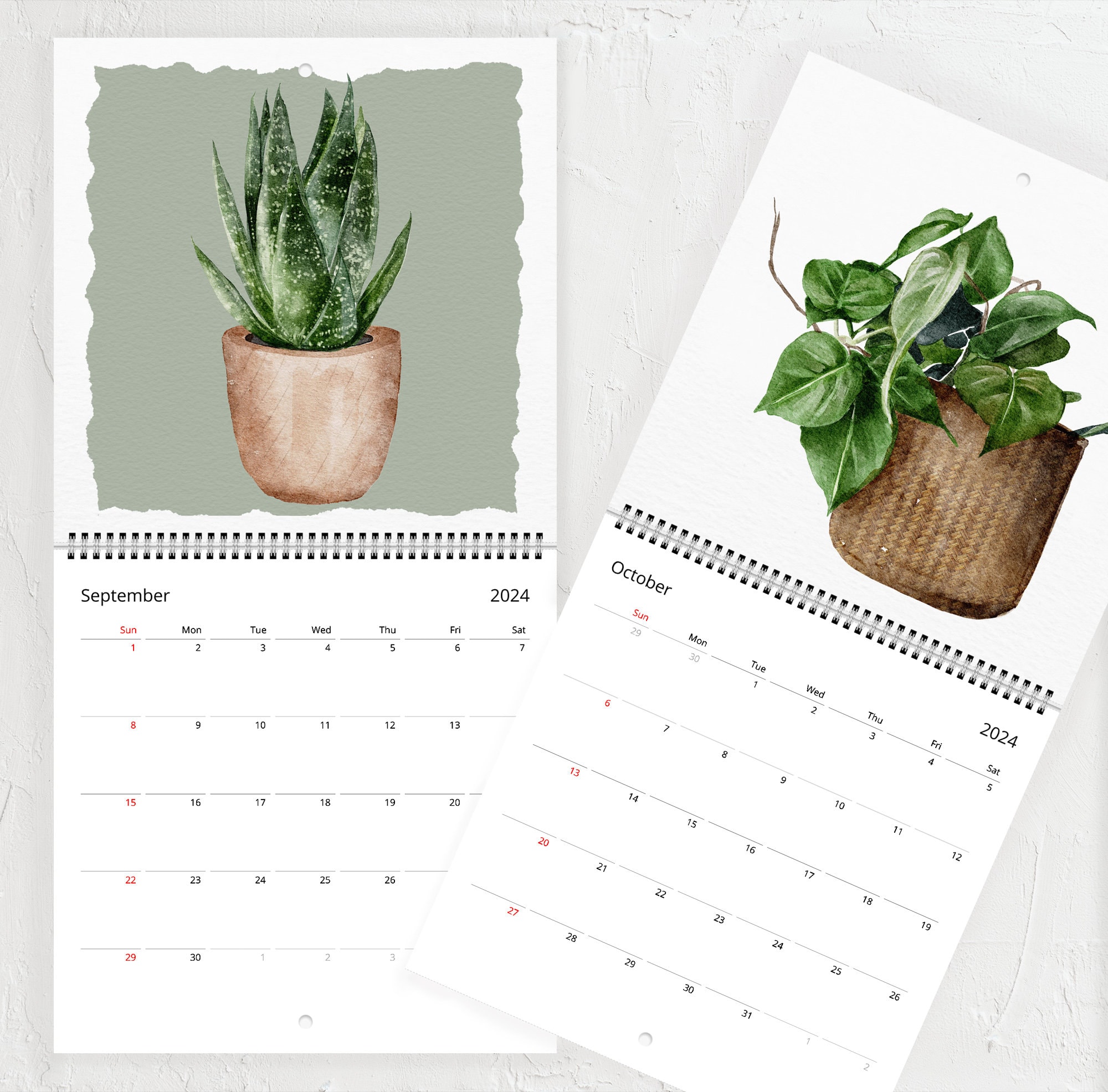 Houseplant 2024 Wall Calendar, Plant Lover Gift, Green Queen Wall Art