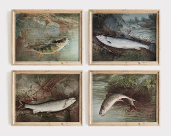 Fishing Prints, Vintage Fish Paintings of Trout, Bass Fly Fishing, Set of 4 Gallery Wall Woodland Art, Rustic Cottage Decor