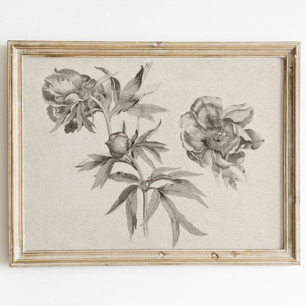 Vintage Botanical Sketch, Antique Flower Drawing Printable, Rustic Art Print, Farmhouse Wall Art