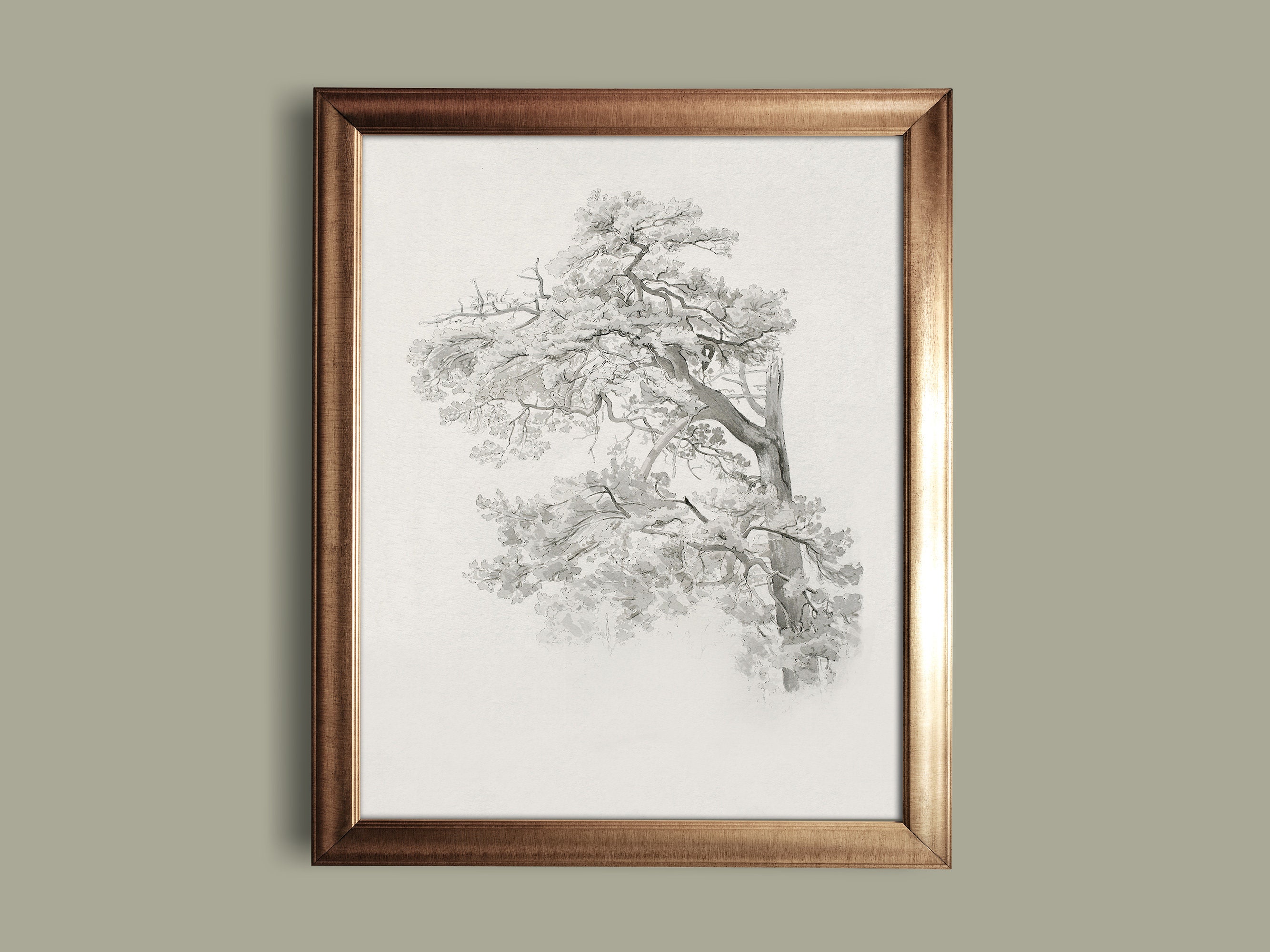 Neutral Antique Tree Drawing, Rustic Vintage Sketch Art, Soft Farmhouse ...