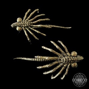 Facehugger Ear Weights