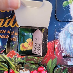 May include: An advent calendar with a partially opened compartment revealing a packet of California poppy seeds. The packet features a yellow flower illustration and the text "California poppy Eschscholzia". The background is a colorful illustration.