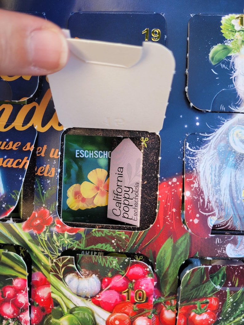 May include: An advent calendar with a partially opened compartment revealing a packet of California poppy seeds. The packet features a yellow flower illustration and the text "California poppy Eschscholzia". The background is a colorful illustration.