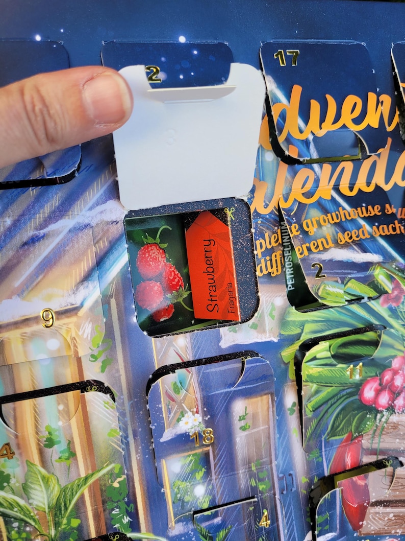 May include: An Advent calendar with a partially opened door revealing a small package labeled "Strawberry Fragaria" and a picture of strawberries. The calendar has a blue and gold design with numbers.