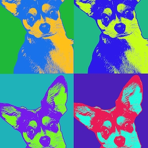 Pet Pop Art Poster