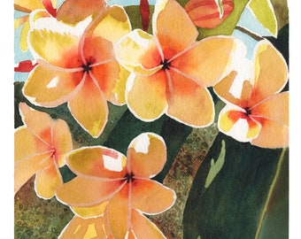 Rare Hilo Beauty Plumeria Dark Red Cutting 8-12 Inch - Etsy Canada