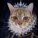 see more listings in the Royal Pet Portraits section