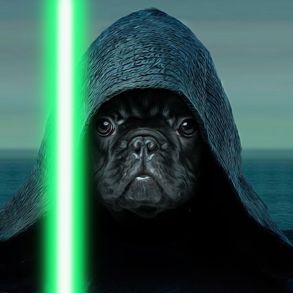 Custom Star Wars Pet Portrait, Luke Skywalker Dog Portrait, Star Wars Print, Custom Dog Portrait, Custom Pet Portrait, Wall Art Canvas