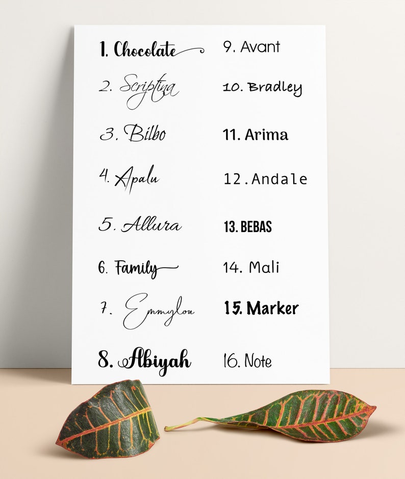 May include: A white poster with sixteen different font styles in black. The fonts include Chocolate, Scriptua, Bilbo, Apalu, Allura, Family, Emmylou, Abiyah, Avant, Bradley, Arima, Andale, BEBAS, Mali, Marker, and Note. Two leaves are in the foreground.