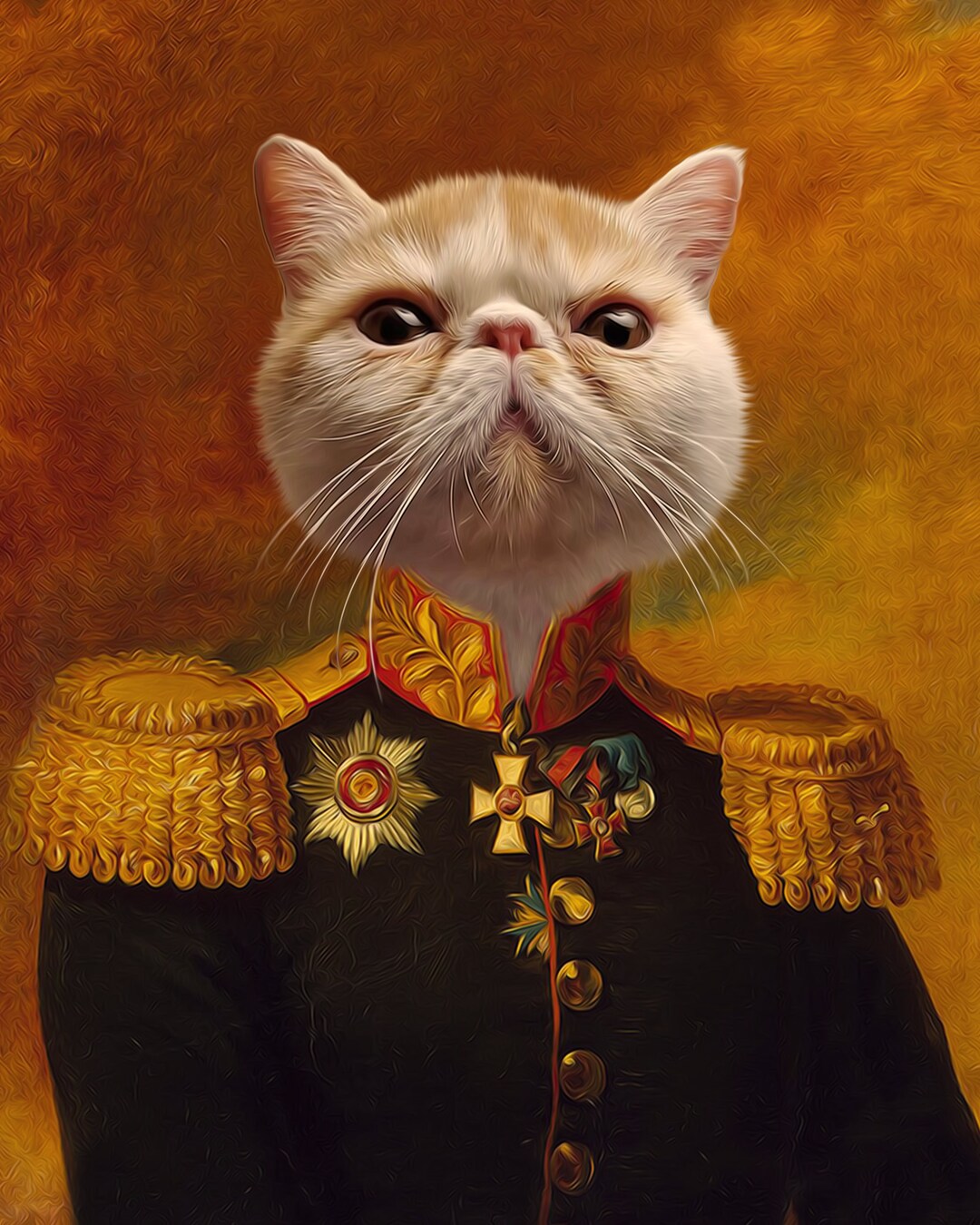 Admiral Cat Canvas,general Cat Costume,custom Pet Portraits,pet Lovers