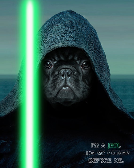 Custom Star Wars Pet Portrait Luke Skywalker Dog Portrait Etsy