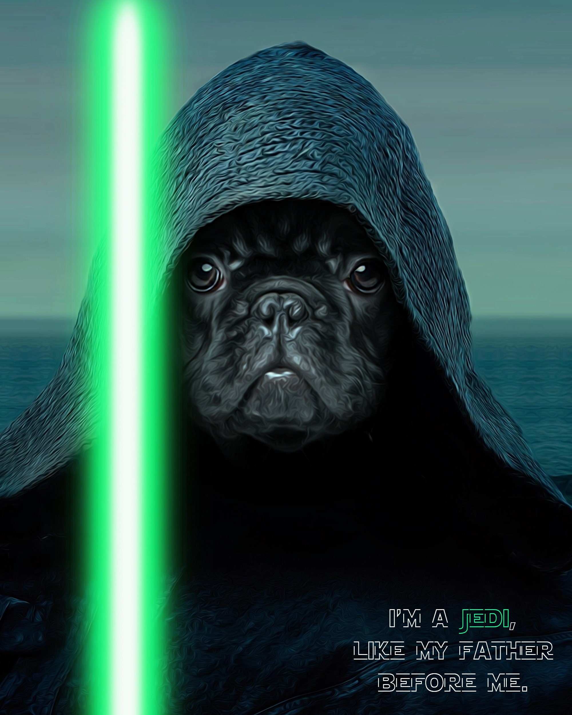 Custom Star Wars Pet Portrait Luke Skywalker Dog Portrait Etsy Italia