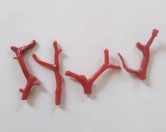 Red Coral Branches: Italian Mediterranean Polished Gemstone Sticks
