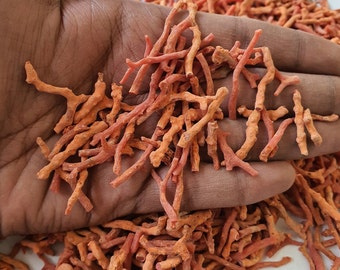 Italian Red Coral Sticks: Mediterranean Sea Gemstone, Unpolished