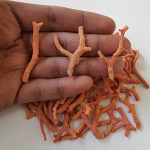 Peut inclure: Un tas de petites branches de corail orange. Le corail est naturel et a une texture rugueuse. Les branches sont de formes et de tailles vari&eacute;es.