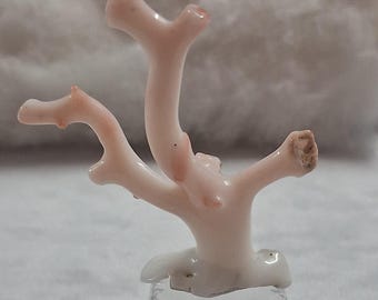 深海珊瑚の枝 - 天然ピンクオレンジ珊瑚 - 本物のばら売り、14.5 x 7
