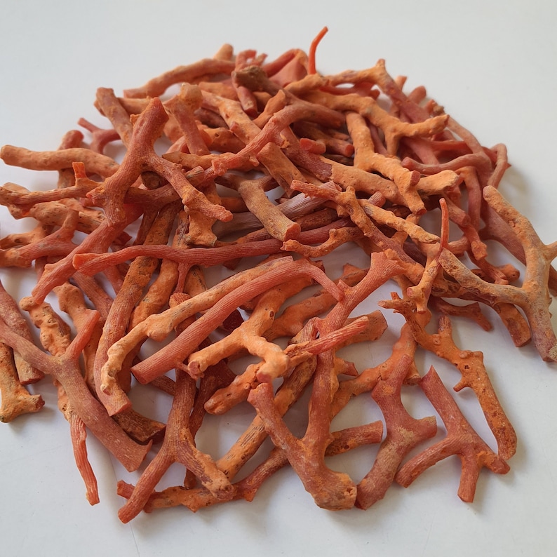Peut inclure: Un tas de branches de corail orange-rouge, parfaites pour l'artisanat ou la d&eacute;coration.