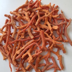 Peut inclure: Un tas de branches de corail orange, certaines avec des motifs ramifi&eacute;s, sur un fond blanc.