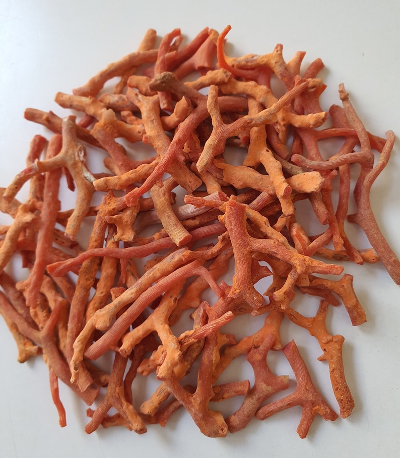 Peut inclure: Un tas de branches de corail orange, certaines avec des motifs ramifi&eacute;s, sur un fond blanc.