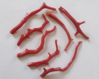 Red Coral Branches: Natural Italian Mediterranean Gemstone Sticks
