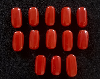 Cabochon De Corail Rouge Naturel Méditerranée - Italie - 8,40 Carats - 27 X 6 Mm - Neuf