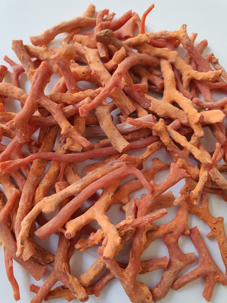 Peut inclure: Un tas de branches de corail orange-rouge, certaines avec plusieurs branches, sur un fond blanc.