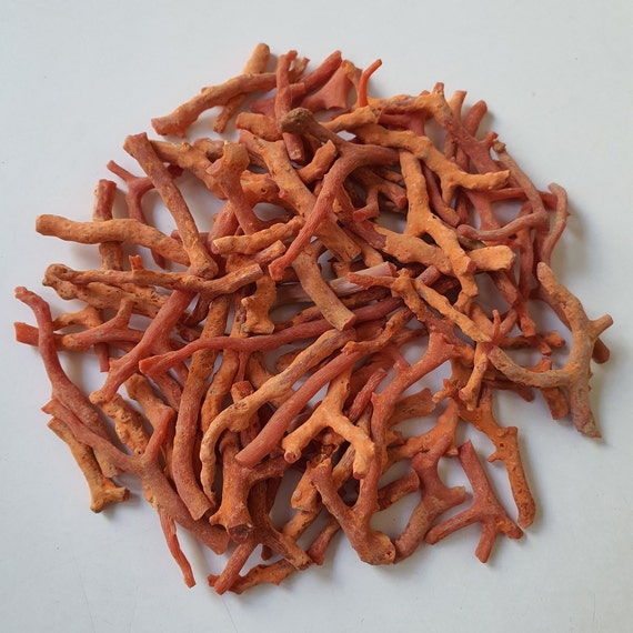 Natural Italian Red Coral Branch Lot: Rough Mediterranean Sea Coral Sticks