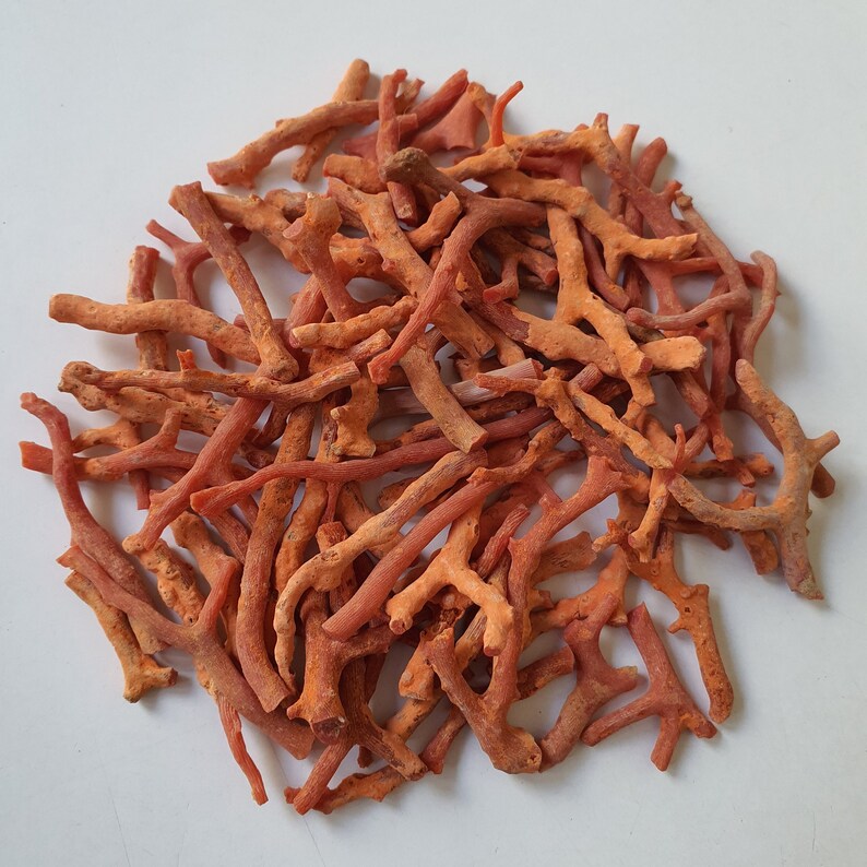 Peut inclure: Un tas de branches de corail orange-rouge, parfaites pour l'artisanat ou la fabrication de bijoux.