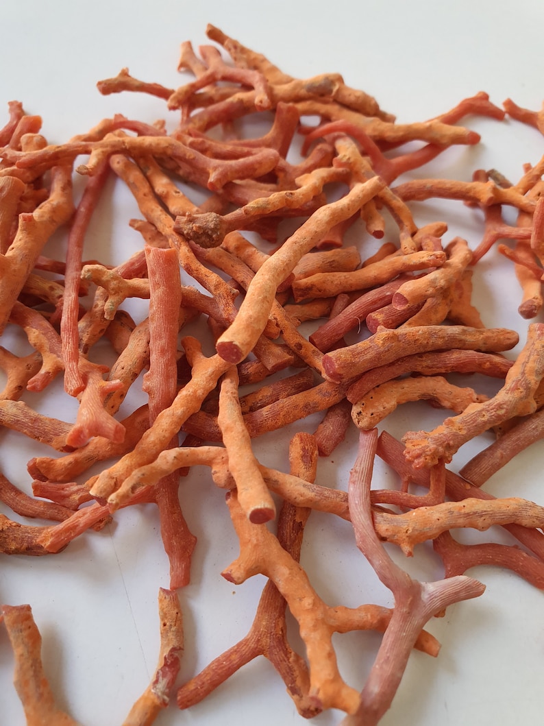 Peut inclure: Un tas de branches de corail orange, certaines avec des extr&eacute;mit&eacute;s fourchues, sur un fond blanc.