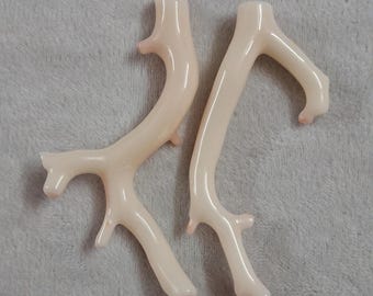 Japanese White Coral Branch | Ocean Decor, Healing Crystal