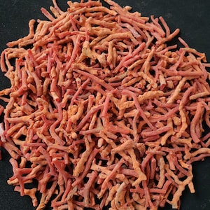 Bâtonnets de corail rouge italien : lot de corail brut de la mer Méditerranée