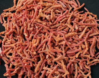 Italian Red Coral Sticks: Rough Mediterranean Sea Coral Lot