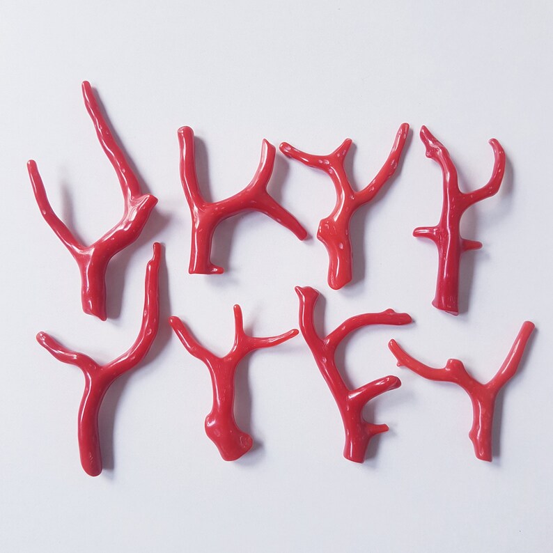 BRANCHE DE CORAIL ROUGE 78