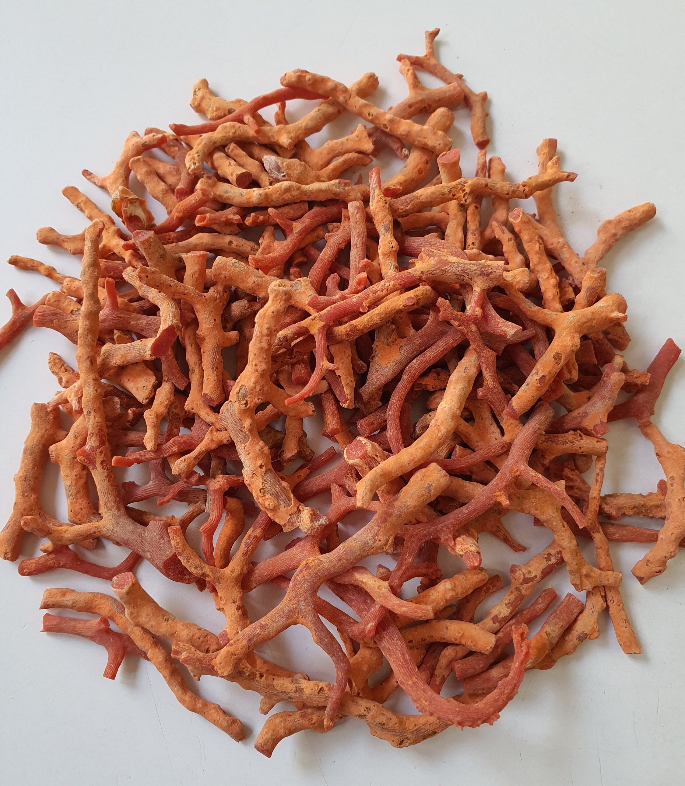 Buy Italian Red Coral Rough Branch: Natural Gemstone Jewelry