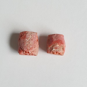 Corail rouge italien brut : cabochon de pierres précieuses non polies (2 pièces)