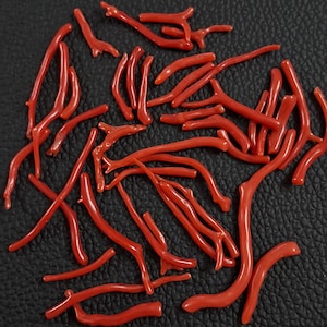 20 piezas de coral rojo italiano natural genuino, coral rojo italiano 100 % natural pulido. Coral pulido brillante, coral.
