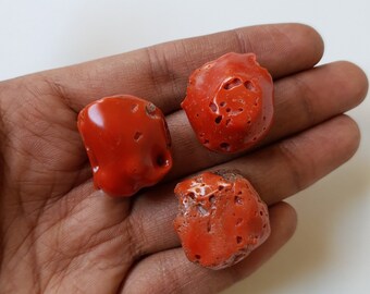 Natural Italian Red Coral Rough: Polished Branch, 26.70 Grams