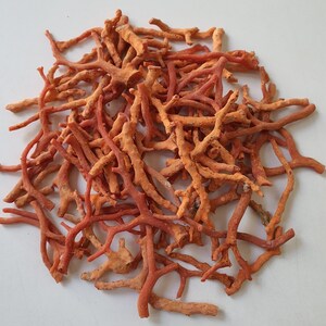 Bâtons de corail rouge brut : lot de pierres précieuses de la Méditerranée