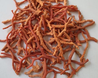 Rough Red Coral Sticks: Mediterranean Gemstone Lot