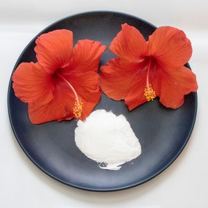 May include: A dark blue plate holds two vibrant red hibiscus flowers and a pile of white powder. The flowers have prominent yellow stamens. The composition is set against a white background, creating a striking contrast.