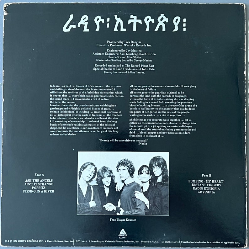 Seltenes Original '76 Punk Vinyl PATTI SMITH Group Radio Äthiopien Plattenalbum VINTAGE 70er Jahre New York Poet Lenny Kaye Classic Ask The Angels L@@K Bild 4