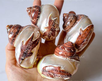 Large HERMIT Crab IMPERIAL TURBO Jade Shell, Rare Polished Blue