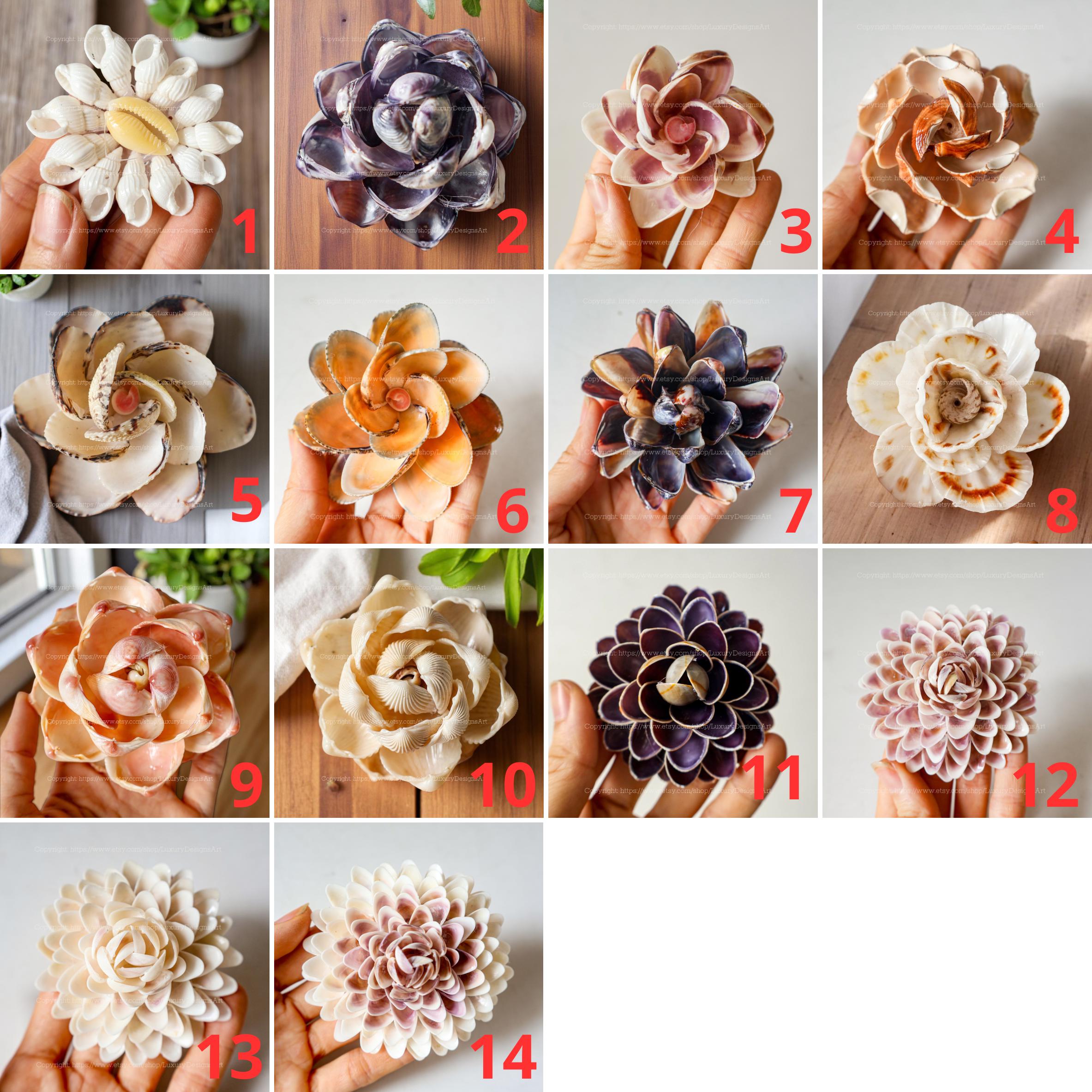 Seashell Flower Handmade From Seashell Natural Seashell Flowers Coastal ...