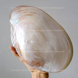 Mother of Pearl Seashell Dish Jewelry Tray for Candy Dish Home Décor, Collectible Dish Decorative Simple Giant Shell Dish Beautiful Dish
